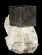Pyrite Cube In Rock - Navajun, Spain #51230-1